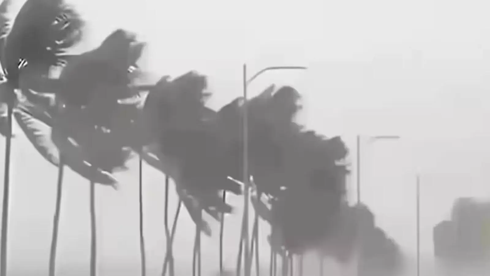 Storm winds