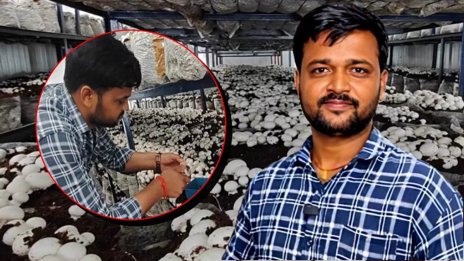 अपनी मशरूम यूनिट में उपेंद्र कुशवाहा।